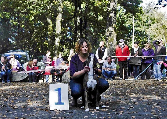 De la Cour des Lys - Iria 1er Exc JFB RE Puy-de-Serre 2014 