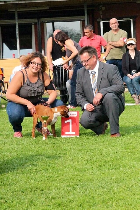 De la Cour des Lys - Junon 1er TP BFF à la NAT. BELGE 2014