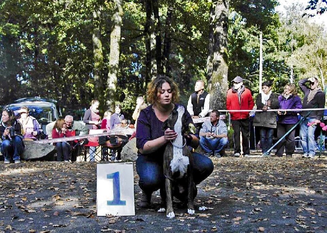 De la Cour des Lys - Iria 1er Exc JFB RE Puy-de-Serre 2014