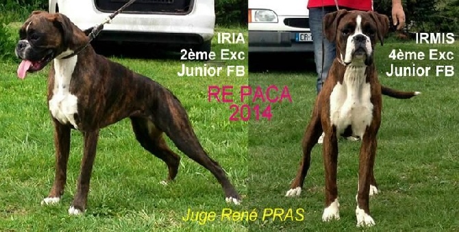 De la Cour des Lys - RE PACA 2014 Iria et Irmis 2ème et 4ème