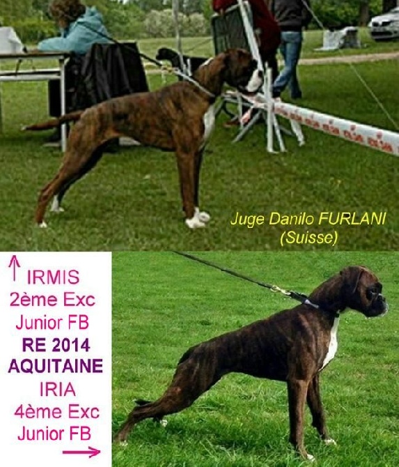 De la Cour des Lys - RE Aquitaine 2014 Irmis et Iria 2ème et 4ème